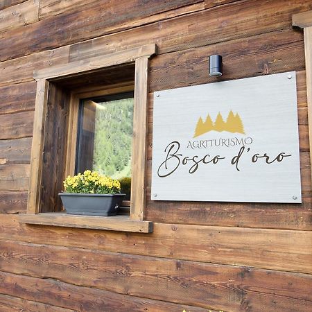 利维尼奥Agriturismo Bosco D'Oro 1公寓 外观 照片