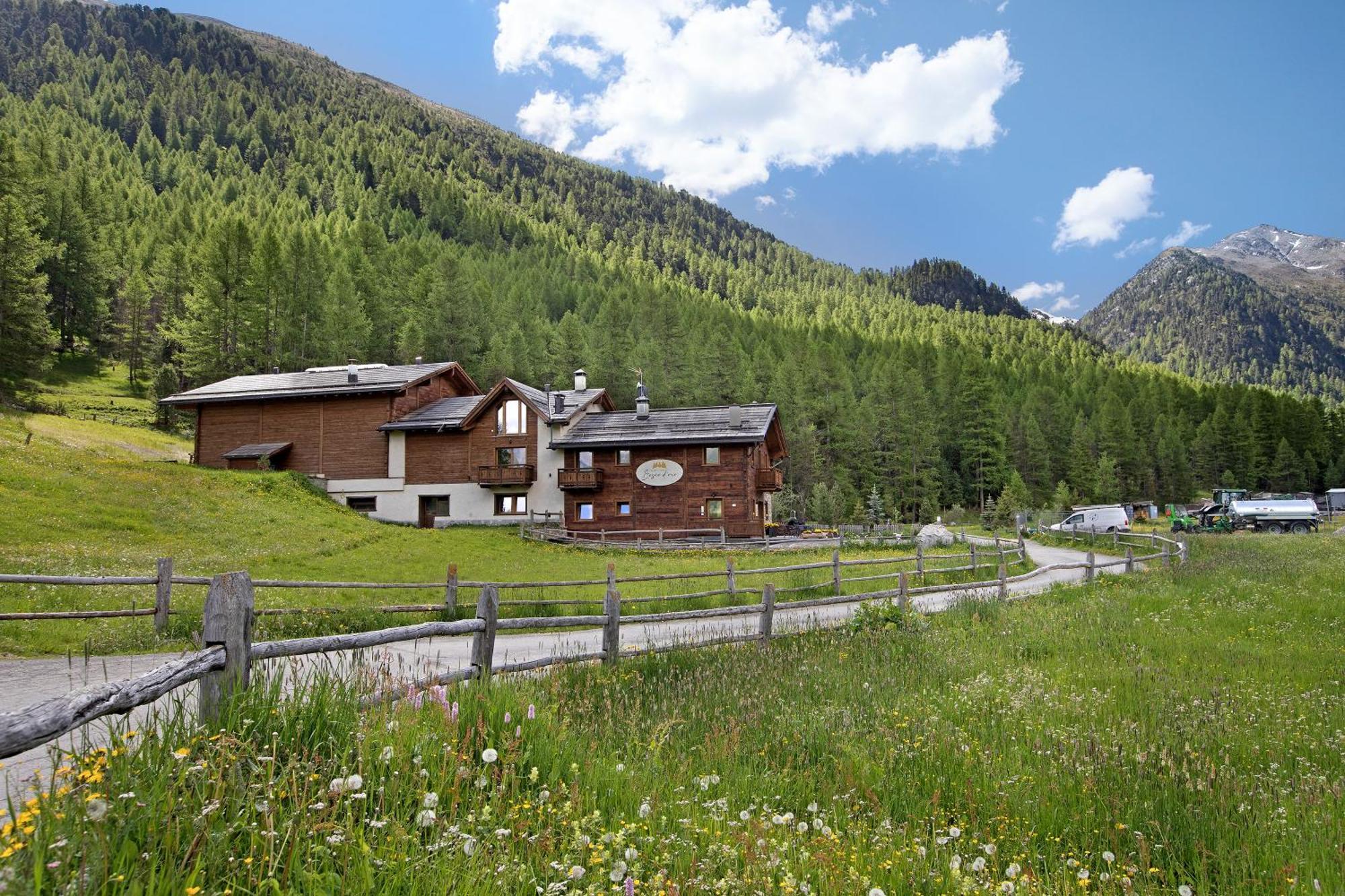 利维尼奥Agriturismo Bosco D'Oro 1公寓 外观 照片